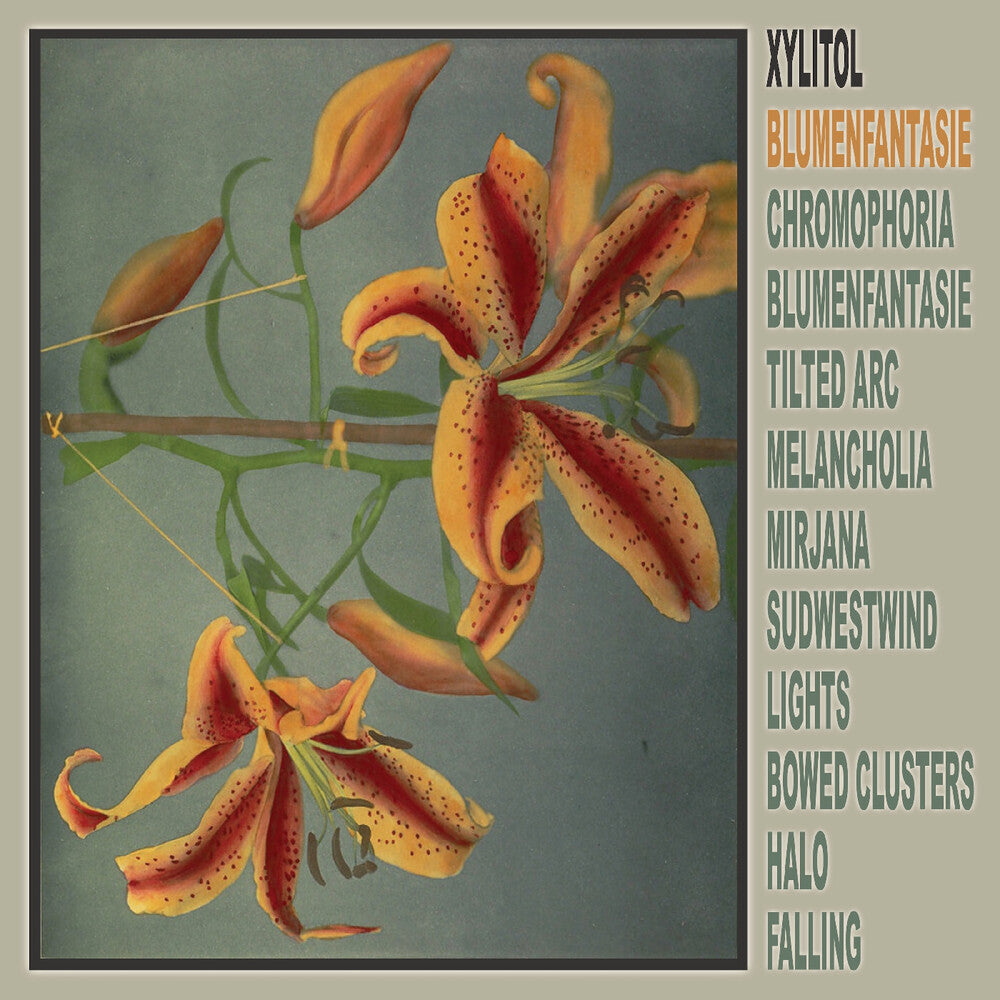 Xylitol - Blumenfantasie [LP]