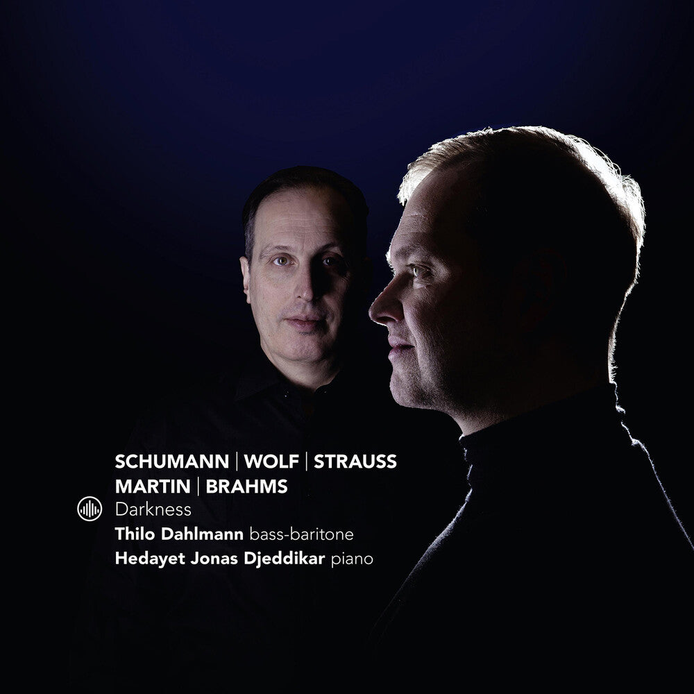 Thilo Dahlmann - Darkness [CD]