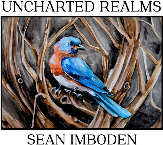 Sean Imboden - Uncharted Realms [Digipak]
