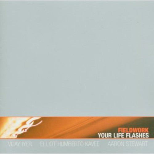 Fieldwork - Your Life Flashes Music CD