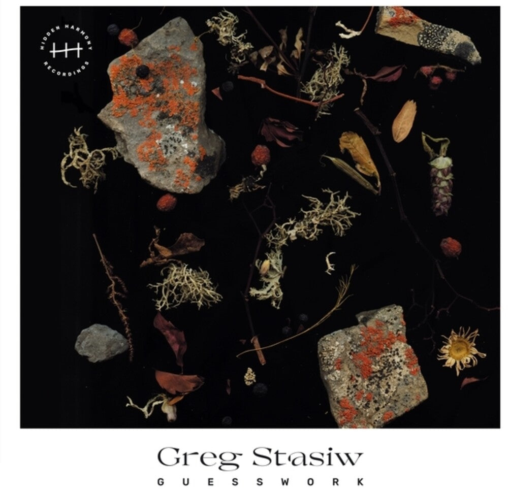 Greg Stasiw - Guesswork [LP]