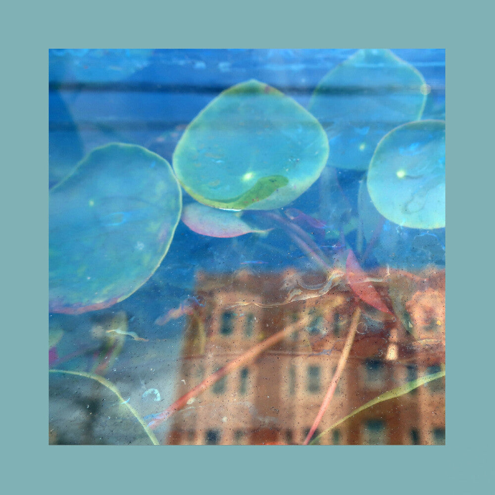 Reds Pinks & Purples - Acknowledge Kindness [CD]
