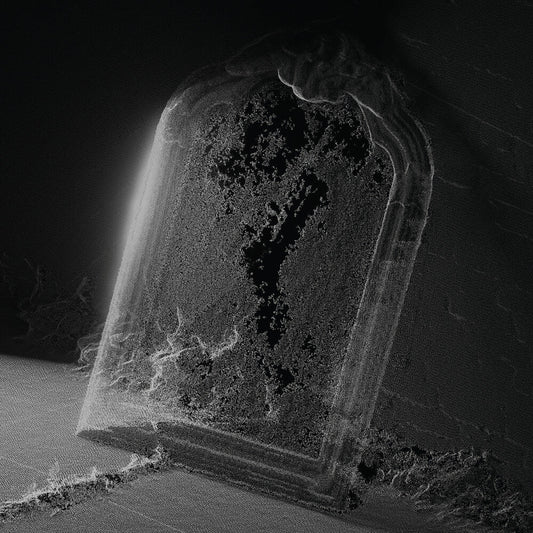 Visible Cloaks - Paradessence [LP]