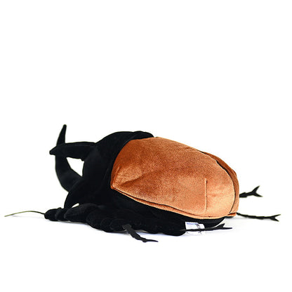 Caucasus Beetle