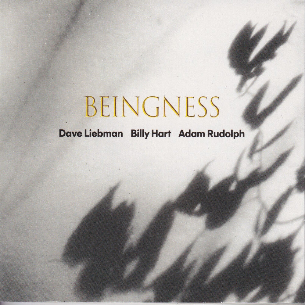 Dave Leibman  / Hart,Billy / Rudolph,Adam - Beingness [Colored Vinyl] [Limited Edition] [180 Gram]
