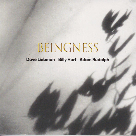 Dave Leibman  / Hart,Billy / Rudolph,Adam - Beingness [Colored Vinyl] [Limited Edition] [180 Gram]