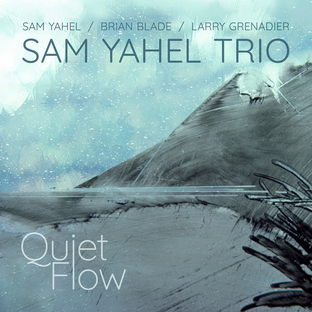 Sam Yahel - Quiet Flow [CD]