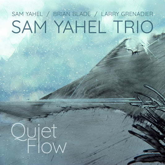 Sam Yahel - Quiet Flow [CD]