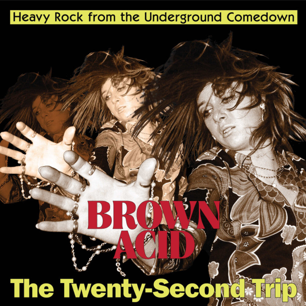 Brown Acid - Twenty-Second Trip / Various - Brown Acid - Twenty-Second Trip / Various [LP]