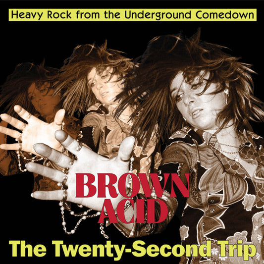Brown Acid - Twenty-Second Trip / Various - Brown Acid - The Twenty-Second Trip (Various Artists) [CD]
