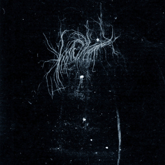My Heart, An Inverted Flame - My Death Is More Beautiful Than Your Life [CD]