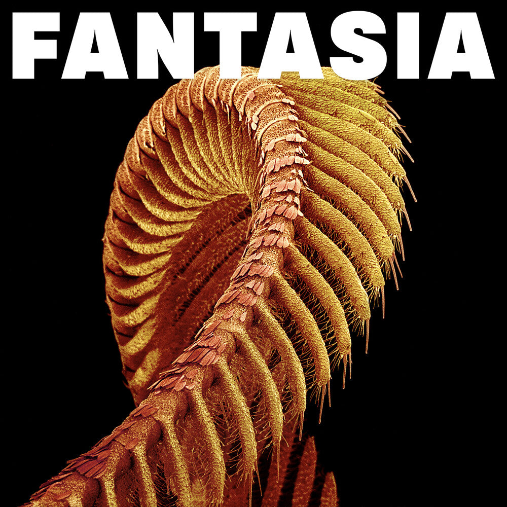 SLIFT - Fantasia [CD]