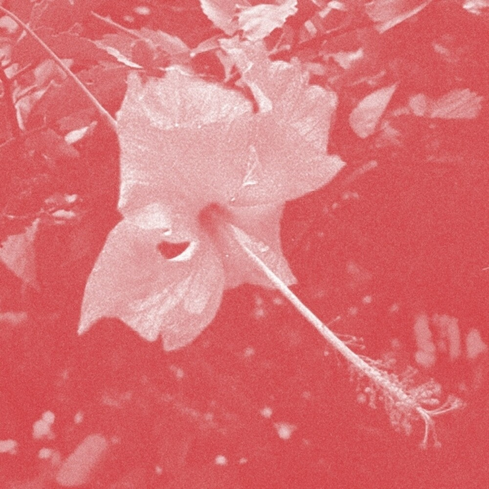 Celer - Poulaine [CD]