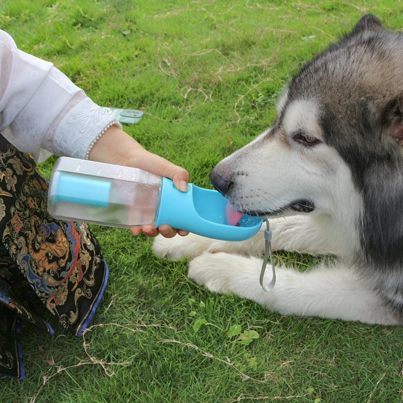 3-in-1 Pet Water Bottle