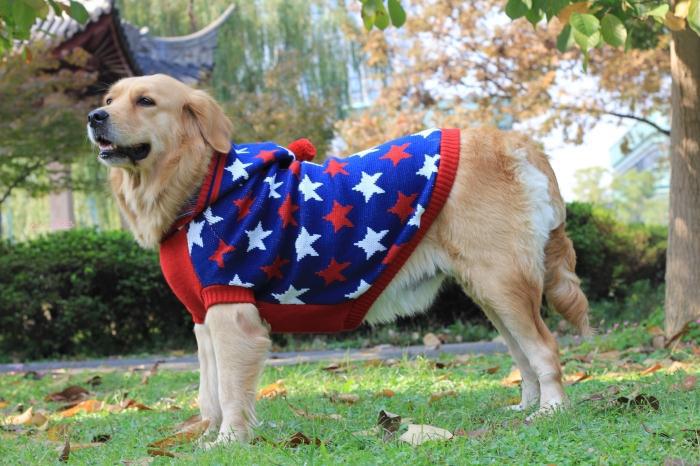 Star Print Dog Hoodie Sweater with Pom-Pom