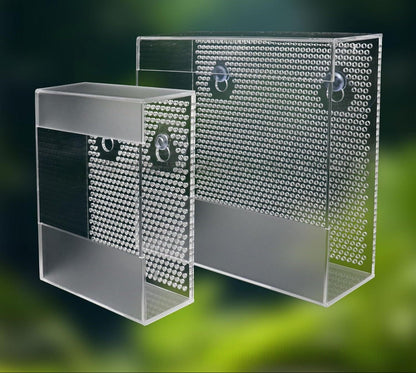 Clear Acrylic Wall-Mounted Live Insect Feeder Box