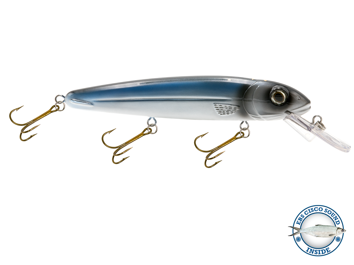 Rachel (Suspending) 8"