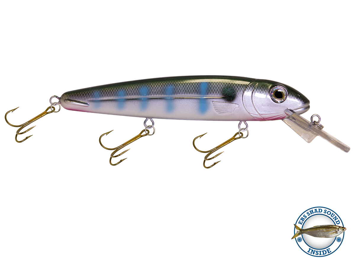 Rachel (Suspending) 8"