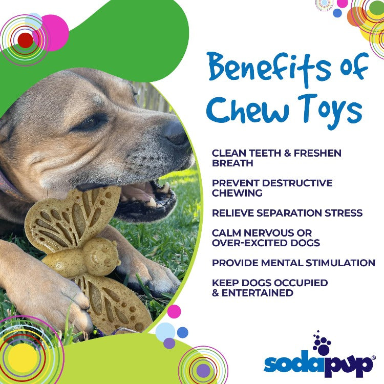 Butterfly Nylon Chew & Enrichment Toy | 2-in-1 for Aggressive Chewers | SodaPup