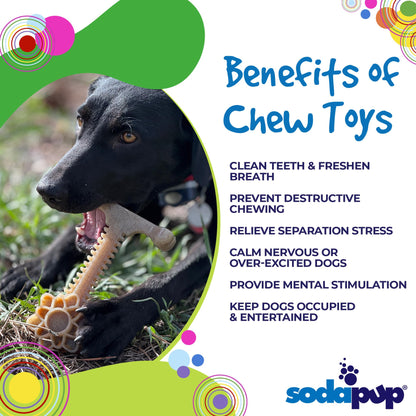 Honey Bone Dental Flower Tower - Indestructible Nylon Dog Chew Toy XL | USA