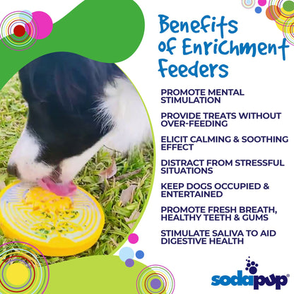Earth eCoin Nylon Lick Mat for Dogs | USA Made Enrichment Toy | SodaPup