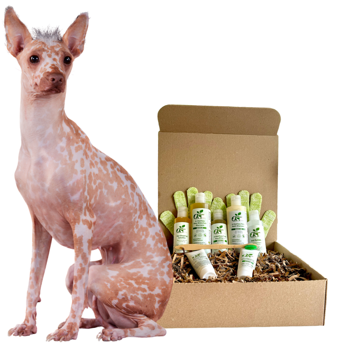 4-HAIRLESS PETS *DOG REGULAR KIT
