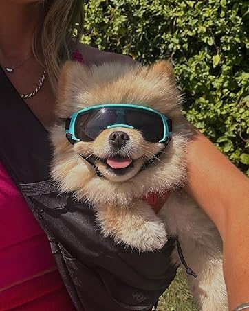 Dog goggle space style for Small Dog