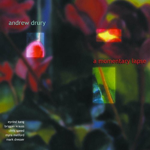 Andrew Drury - Momentary Lapse Music CD