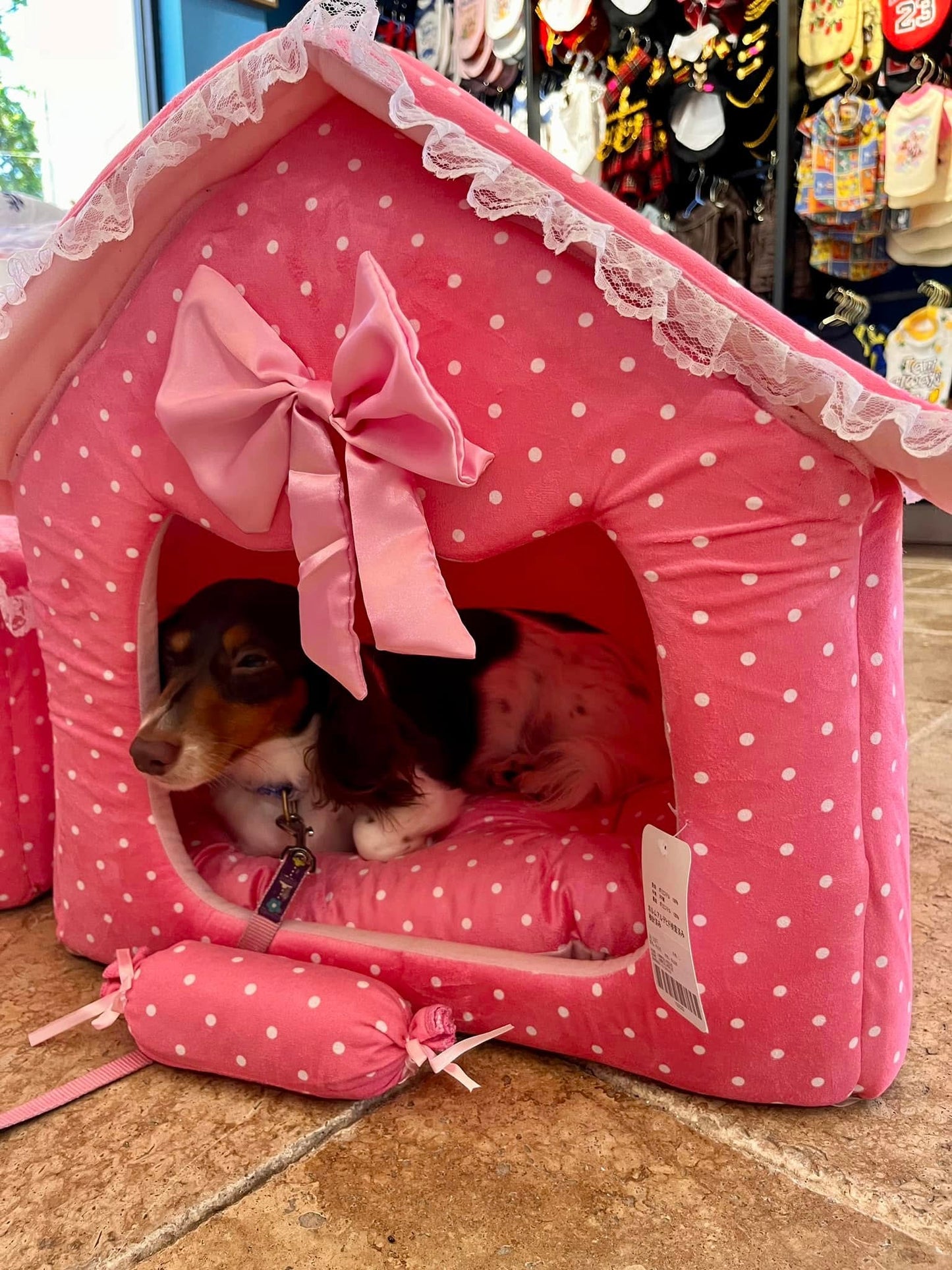 Dog house princess pink dot lace