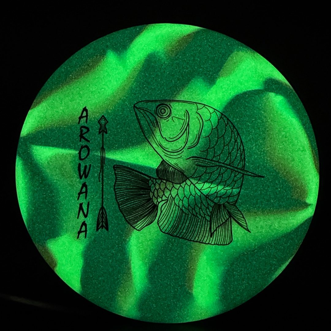 glO-G Arowana