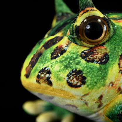 Surinam Horned Frog Plush