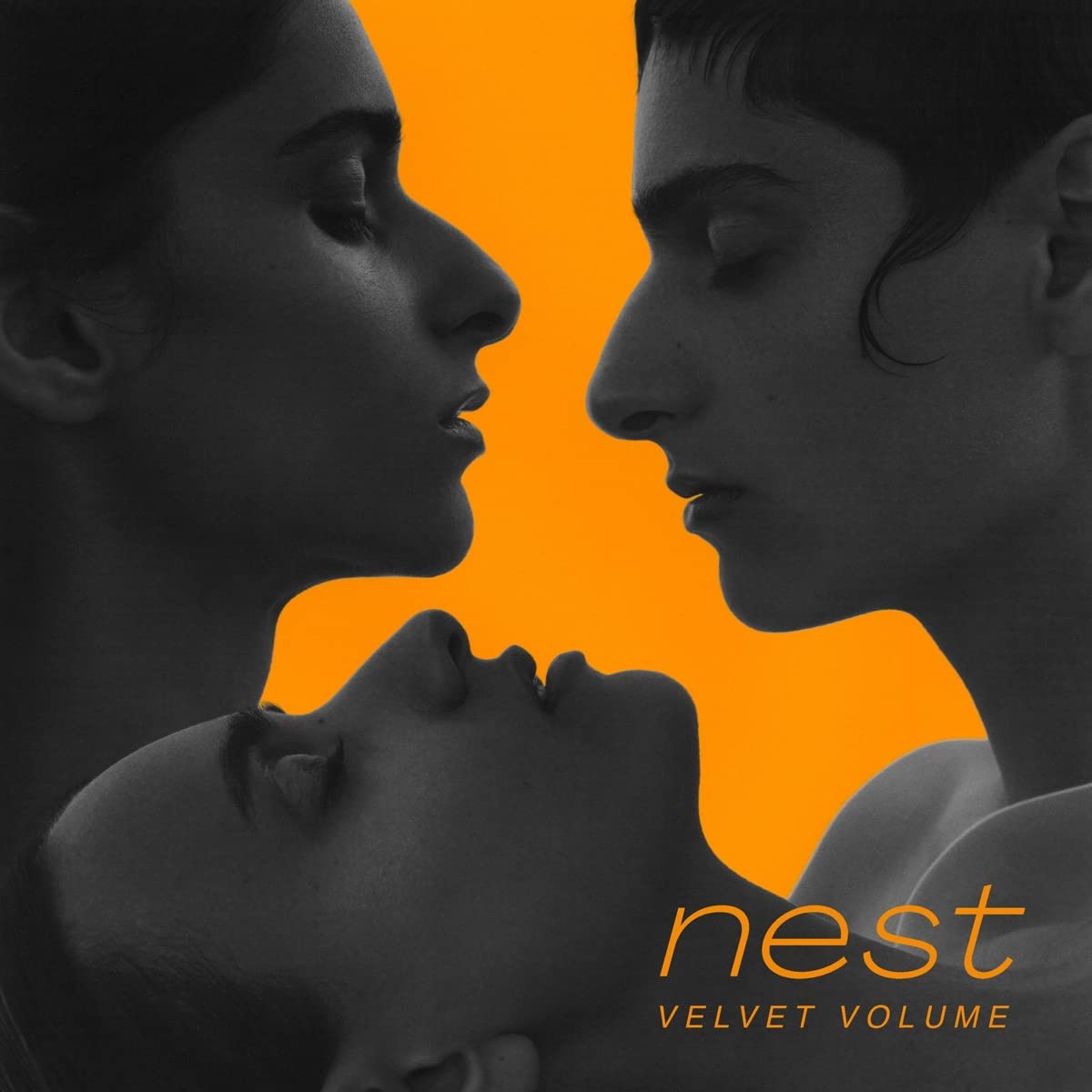 Velvet Volume - Nest Vinyl (Uk) [LP] Vinyl Record