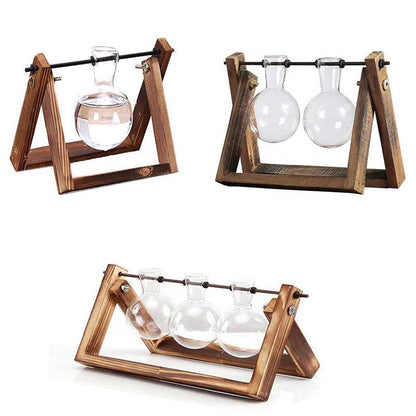 Desktop Vintage Plant Terrarium & Propagation Station