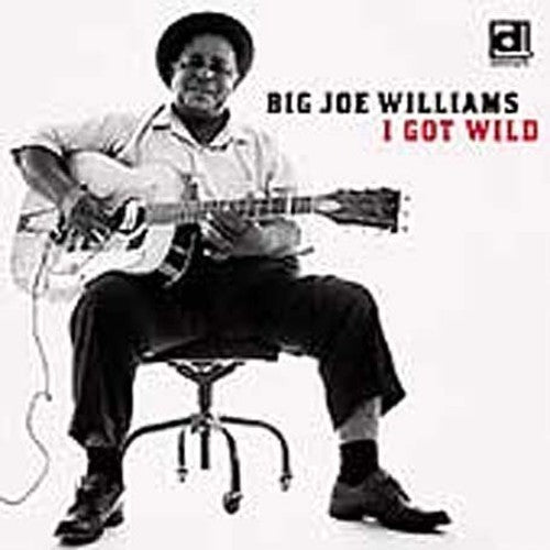 Big Joe Williams - I Got Wild [CD]