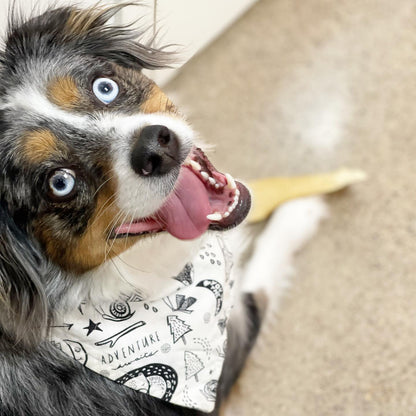 "Adventure" Dog Bandana