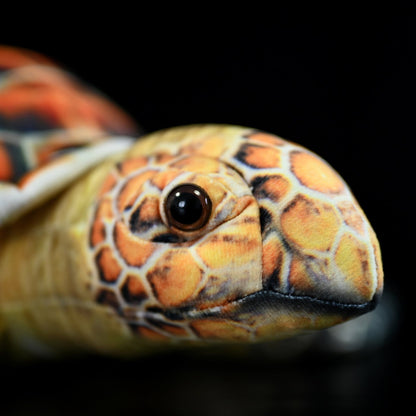 Sea Turtle Plush