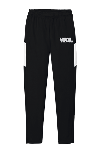 Men's Travel Pants