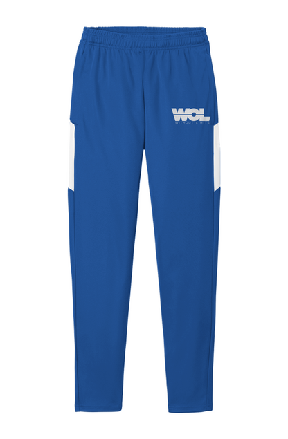 Men's Travel Pants