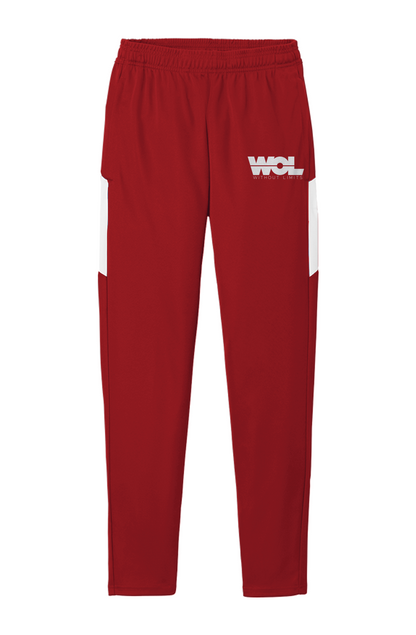 Men's Travel Pants