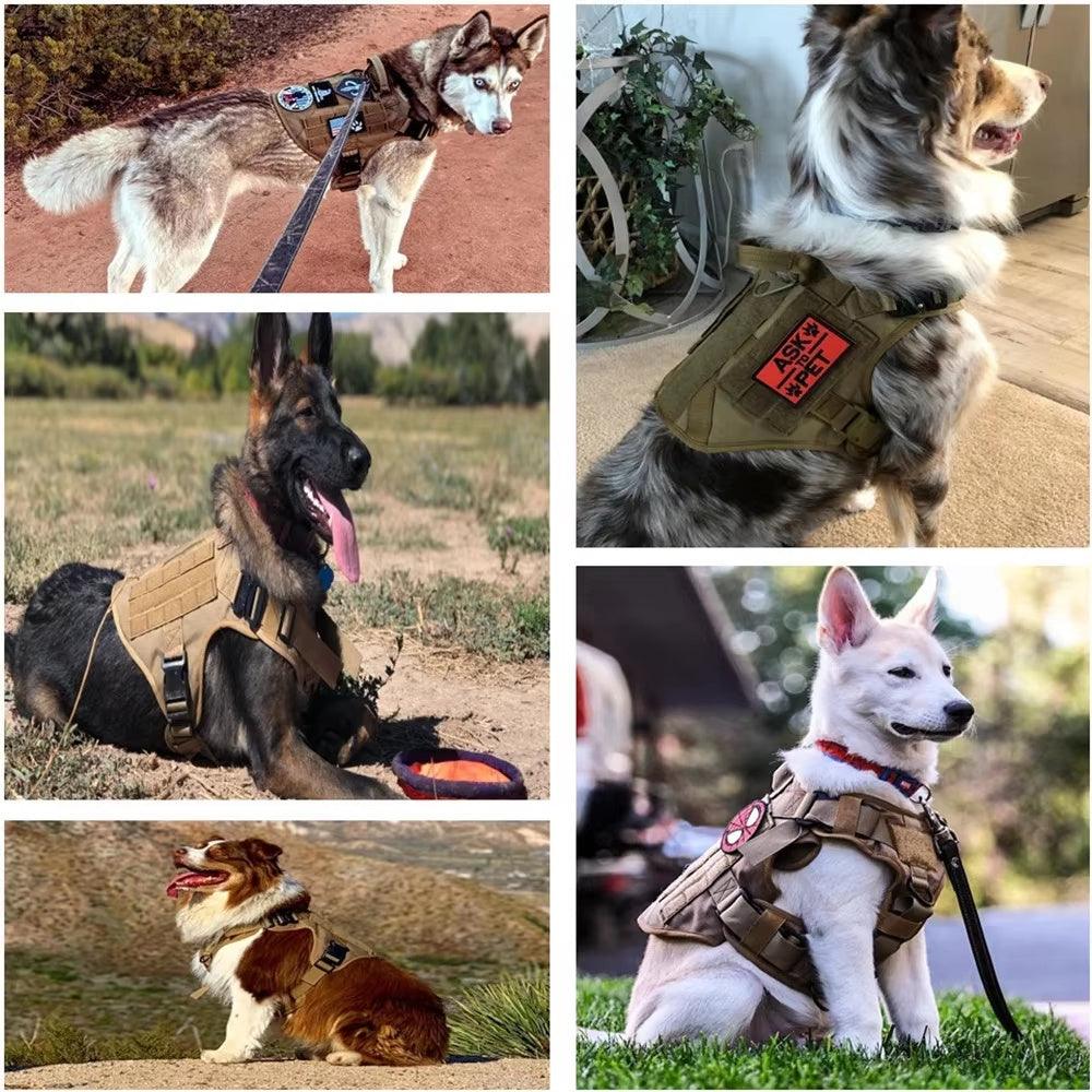 Luxury Camouflage Dog Harness