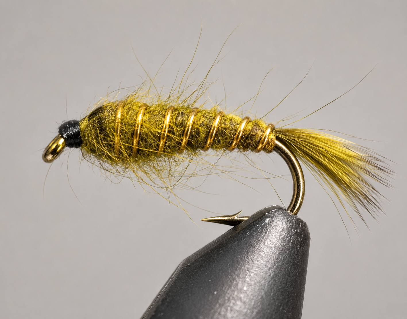 Gold Rib Hare's Ear