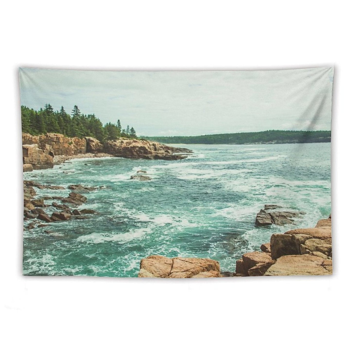 Acadia Coastline - National Park Ocean Tapestry