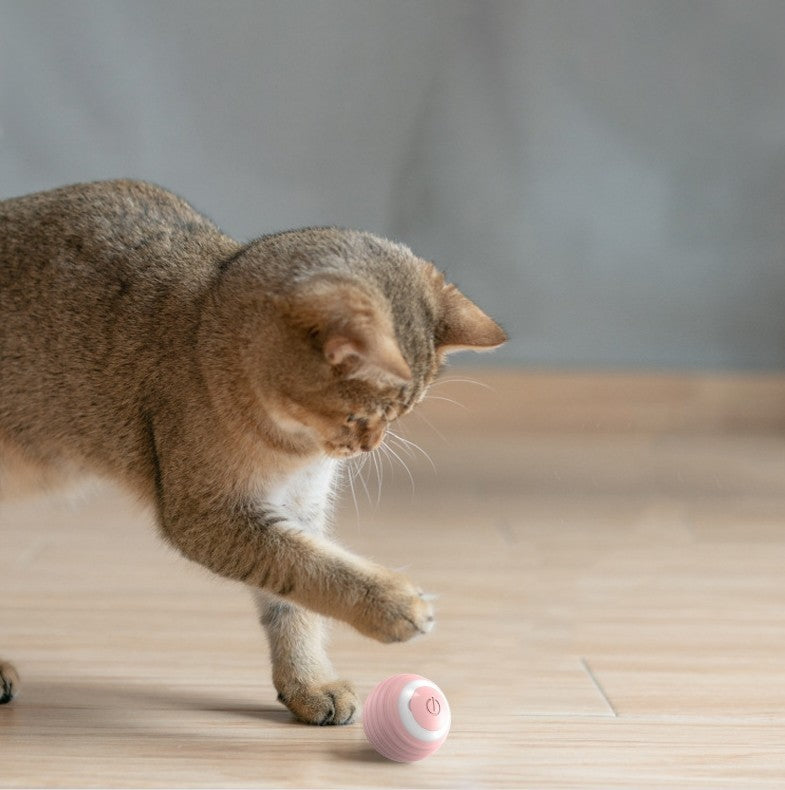 Self-Moving Smart Electric Cat Ball Toy