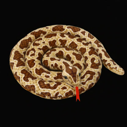 Plush Snake Collection
