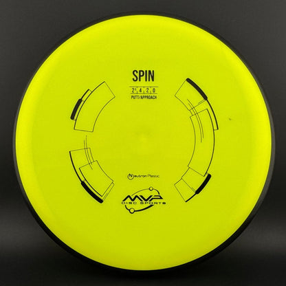 Neutron Spin