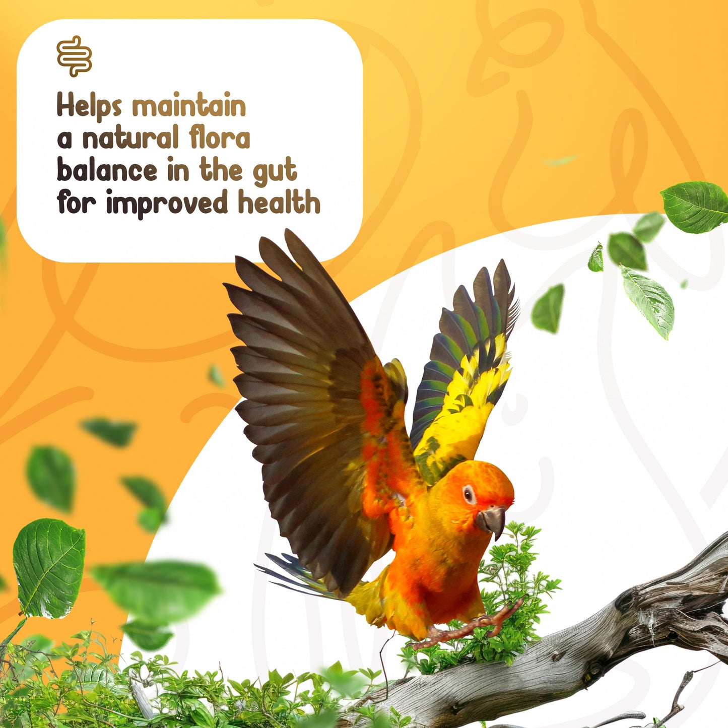 Pre+Pro+Post Biotics Blend for Parrots - 1.06oz