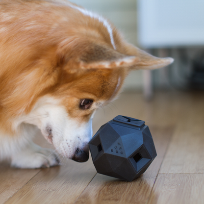 The Odin Treat Dispensing Toy For Dogs - Triathlete Store