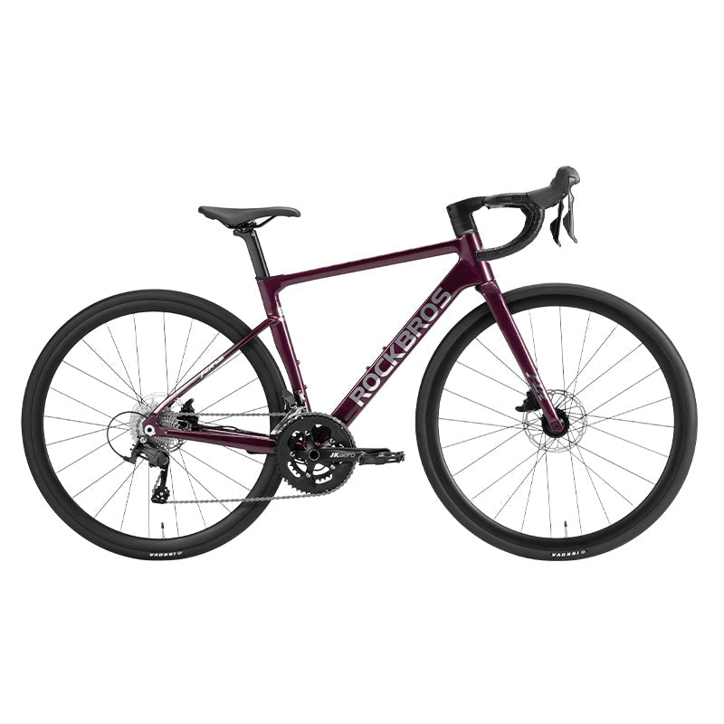 Gale - Aluminum Road Bike