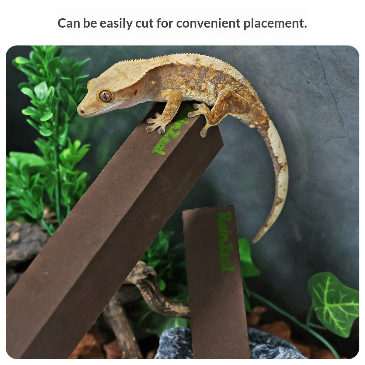 High-Density Foam Reptile Climbing Beam & Ramp – Custom Cut-to-Fit Perch