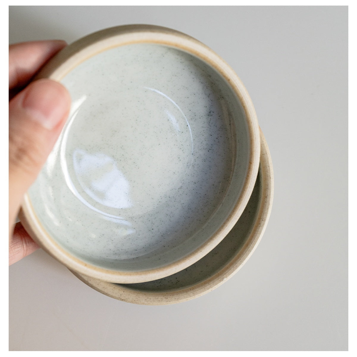 Earthy Oblique Ceramic Reptile Dish